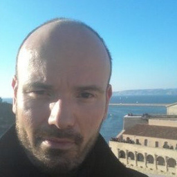 Patrice Le Roux