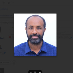 Tesfahun Mengesha