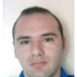 ionel butnaru