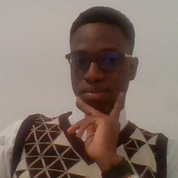 Wilfried Adjé Wilson's profile picture