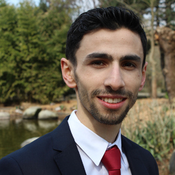Ibrahim Hamzaoglu