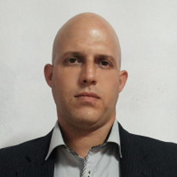 Ing. Pedro Salvá