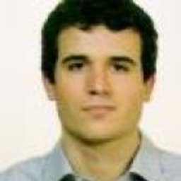 Josu Fradua Burgo