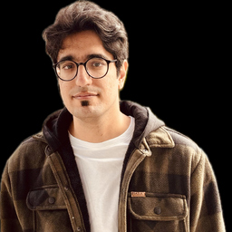 Hamed Ansari