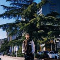 giorgi chikovani