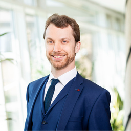 Prof. Dr. Dominik Miller