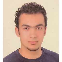 Mohamed Abdelmawgoud