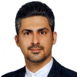 mehran hamidi