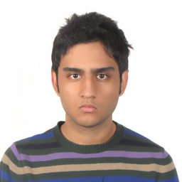 Alireza Hassani Mahmoei