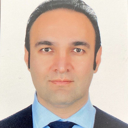 Mehdi Gol
