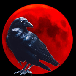 Fabian Fehlhaber's profile picture