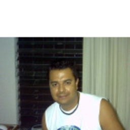 Luis A. Meneses Corral