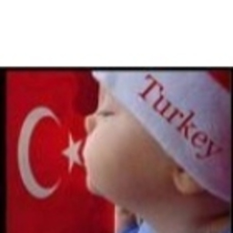 Uğur Kalkan