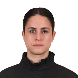 Elnaz kashi