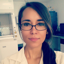 Prof. Maricarmen Pintado González
