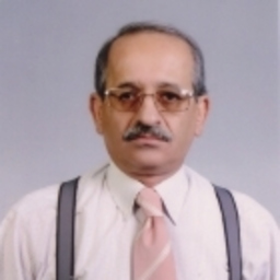 Mehmet Ali ZEREY