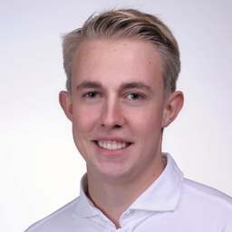 Lewin Pauli