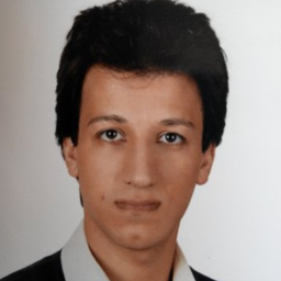 Ali Ansari