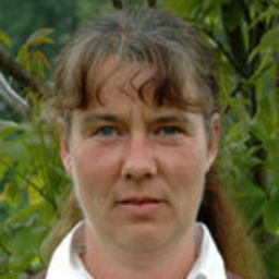 Katrin Stiebeling