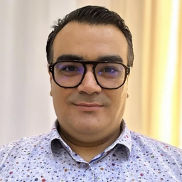 Mehdi Zarrouk