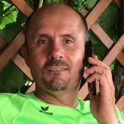 Ing. Dietmar Ulreich