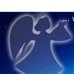 Andre Klaverkamp's profile picture