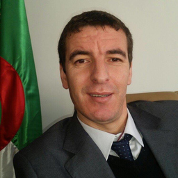 Mohamed Hamza