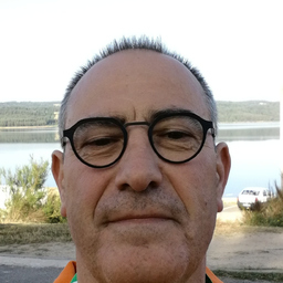 Sylvain Laurent