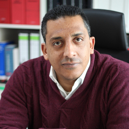 Mohamed El Saadany