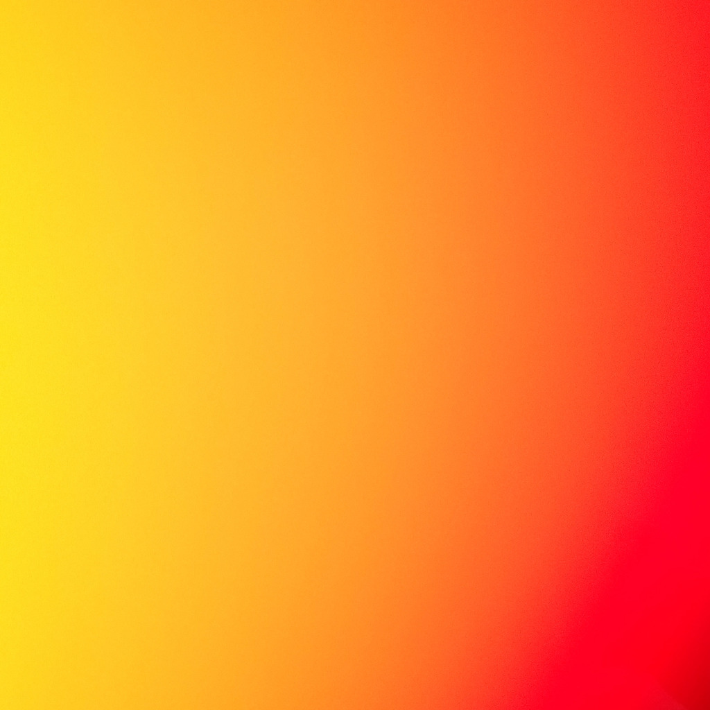 polina Zasulskaya Erzieher/Pädagoge dreieins Innovative Pädagogik