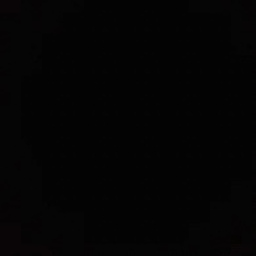 Wilhelm Andree's profile picture