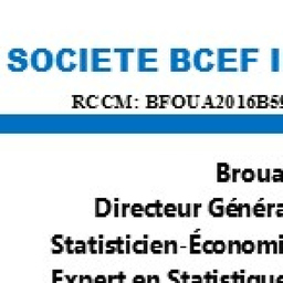 Ing. Société BCEF Ingénierie SARL Directeur Général