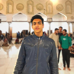 Baraa Hisham