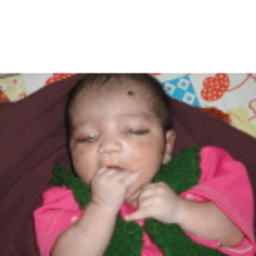 Rajan Bhadauria