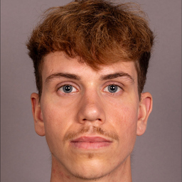 Noah Michel