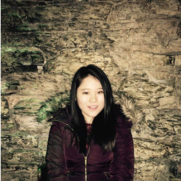 Wenjie Li
