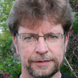 Georg Lauer