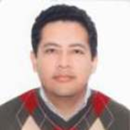 Luis Christian Gonzales Olivos