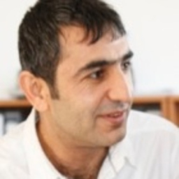 Ali Türlü