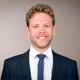 Ing. Niklas Reichmann