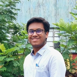 Animesh Mahapatra