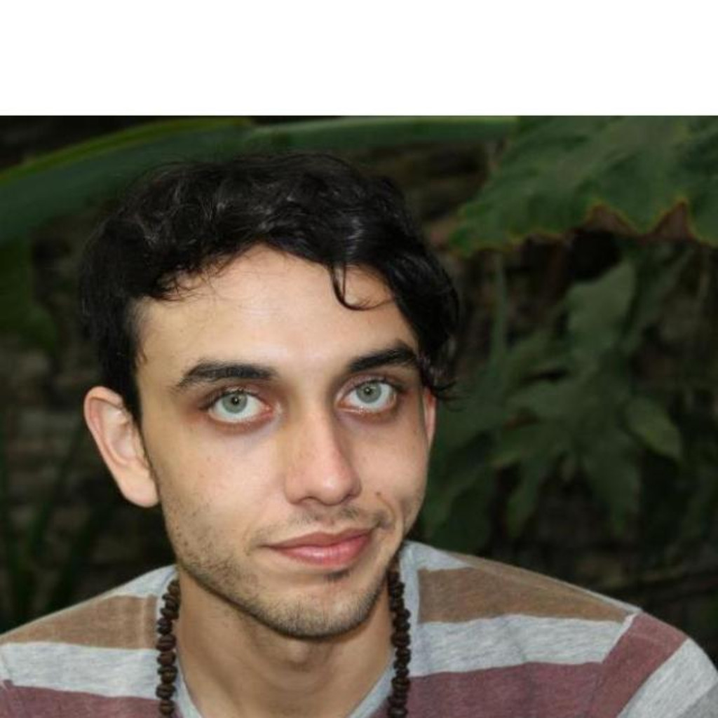 Luis Medina Diseñador In Your Face Media XING