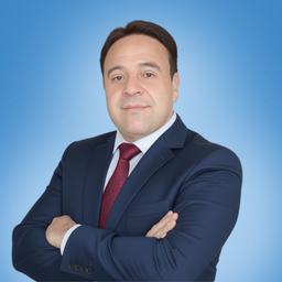 Ing. Mohamad Abou-Hamzeh