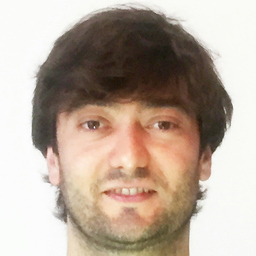 Carlos Navarro