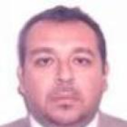 Marco Andres Aleman Abad