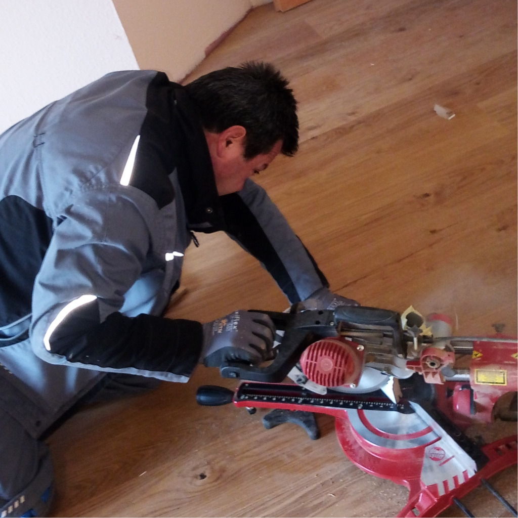 Mihail Jevremov Forestry St. Cyril and Methodius University, Skopje