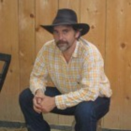 Dirk Fischer