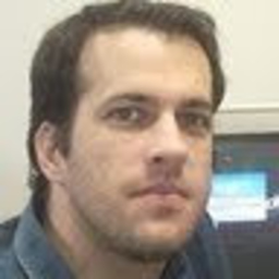 Alan Paladini