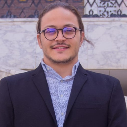 Ahmed Mellouli