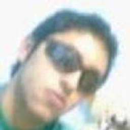diego zarate